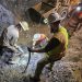 Crystalline gold gains extra sparkle for collectors