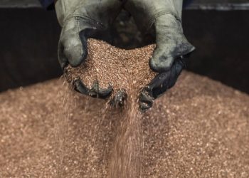 Trump’s ‘intelligent’ copper tariffs will ‘wake people up’, says mining billionaire