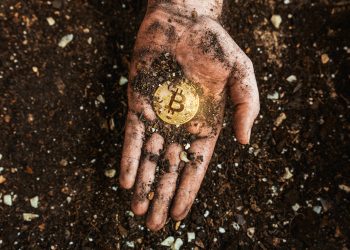 Why Satoshi-Era Bitcoin Are Relevant To Market Dynamics — Analyst Explains