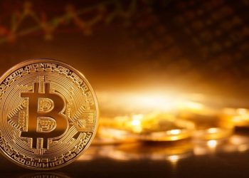 Maestro Co-Founder Marvin Bertin Sees Bitcoin at the Center of a New Financial Economy