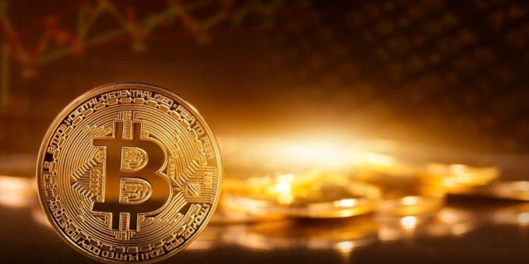 Maestro Co-Founder Marvin Bertin Sees Bitcoin at the Center of a New Financial Economy