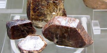 This Inevitable Trend Soared a Quick 50%…This Morning