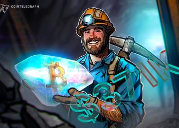 Solo Bitcoin Miner Wins $371K Reward After Mining Block 910,440