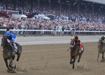 Sovereignty Wins, Bracket Buster Places, Magnitude Shows