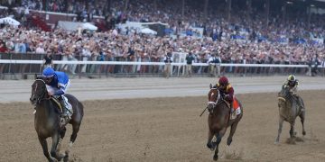 Sovereignty Wins, Bracket Buster Places, Magnitude Shows