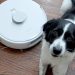 I left my home with a robot vacuum on auto-pilot for 10 days – here are the results