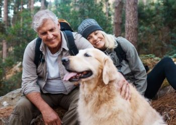 How to pay zero taxes in America on $100,000 of retirement income — and it has nothing to do with Trump’s new bill