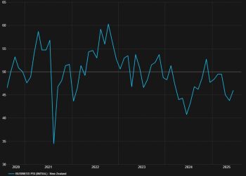 NZ Business Services Index 48.9 vs 46 Prior