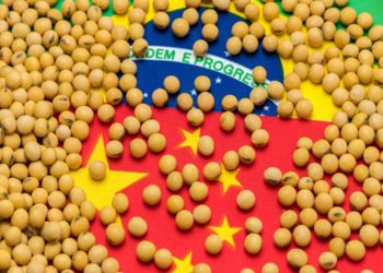 China president Xi reportedly held phone talks with Brazil president Lula