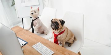 11 Jobs Where You Can Bring Your Pet to Work