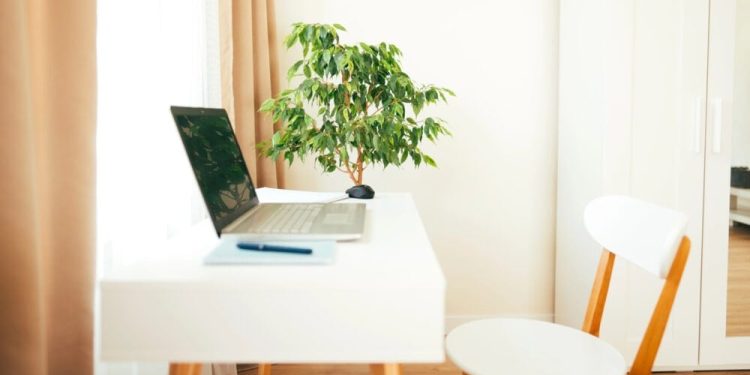 Can You Really Make Money Taking Surveys and Playing Games?