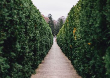 My Best Forex Hedging Strategy for FX Trading