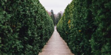 My Best Forex Hedging Strategy for FX Trading