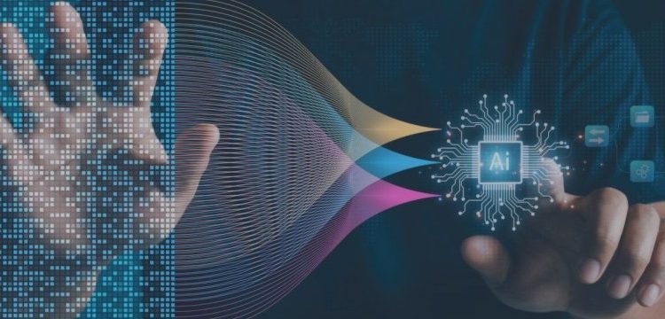 EA Source Code Project – Other – 23 August 2025