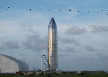 SpaceX Mars Mission Comes Under Fire From The World’s Top Mars Scholar