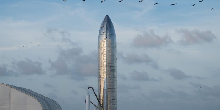 SpaceX Mars Mission Comes Under Fire From The World’s Top Mars Scholar