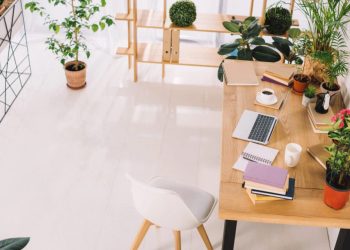 What I Learned About Blogging, Money, and Freedom