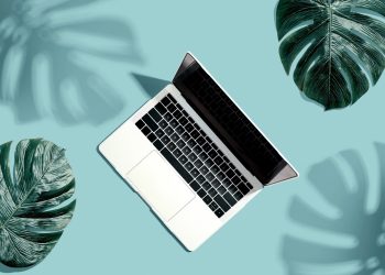 Which Print On Demand Platform Is Best for You?