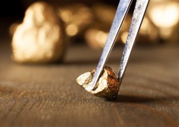 Is a Golden Bear Coming?