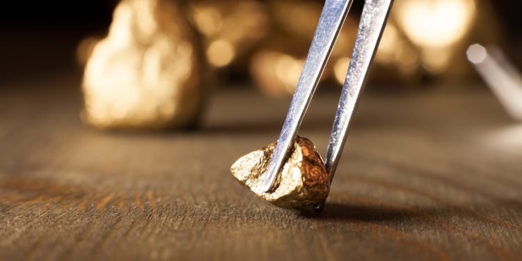 Is a Golden Bear Coming?