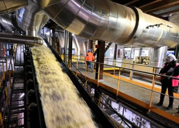 European sugar groups suffer as low prices and soaring costs bite