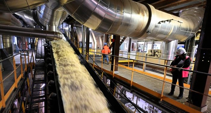 European sugar groups suffer as low prices and soaring costs bite