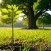 FIRE May Make Building Multi-Generational Wealth Impossible