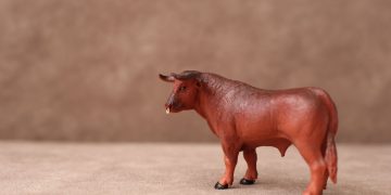 Your Late-Inning Bull Market Gameplan