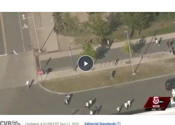 Shots fired at UMass Boston, large police response – markets shrug it off