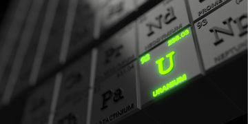 Get in These Trades/Investments Today