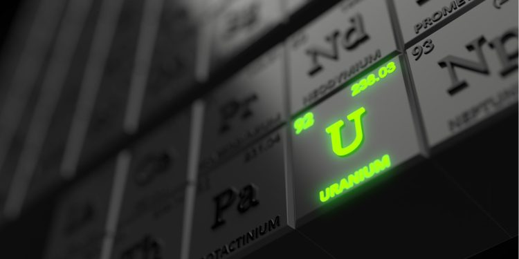 Get in These Trades/Investments Today