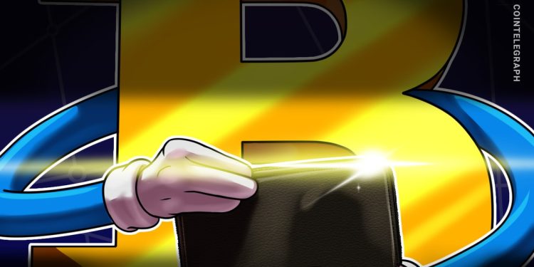 Bitcoin Whale From 2009 Moves Coins After 14 Years Asleep