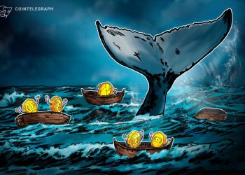 Do Bitcoin Whales Really Control Market Ups and Downs?