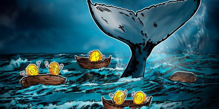 Do Bitcoin Whales Really Control Market Ups and Downs?