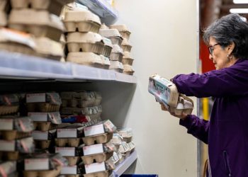 Inflation breakdown for September 2025, in one chart