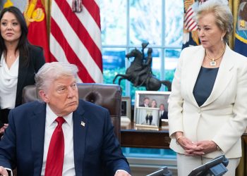 Student loan forgiveness for IBR resumes under Trump administration