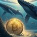 Bitcoin whales stack 60K BTC in a week! – $135K in sight IF…