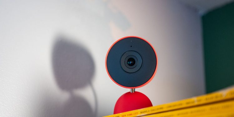 Gemini in Google Home Keeps Mistaking My Dog for a Cat