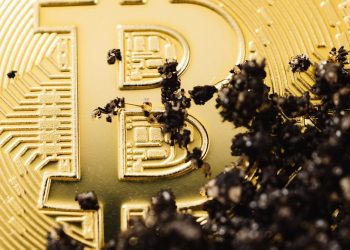 16,000 Ancient Bitcoins Just Moved—And It’s Costing Whales Billions