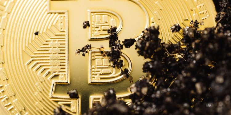 16,000 Ancient Bitcoins Just Moved—And It’s Costing Whales Billions