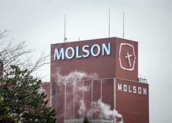 Molson Coors’ Q3 2025 Earnings: What to Expect