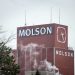 Molson Coors’ Q3 2025 Earnings: What to Expect