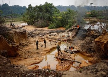 The Amazonians poisoned by the illicit gold trade