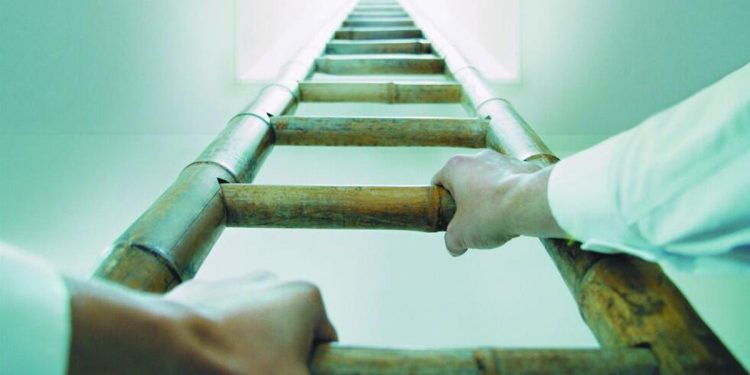 5 ways ambitious IT pros can future-proof their tech careers in an age of AI