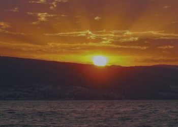 Nova EAs: October Special Offer & Quick FAQ – Other – 6 October 2025