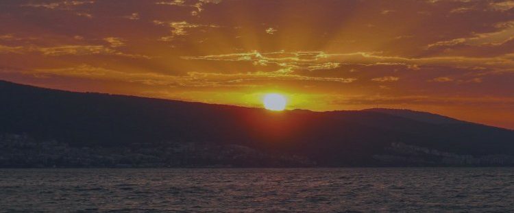 Nova EAs: October Special Offer & Quick FAQ – Other – 6 October 2025