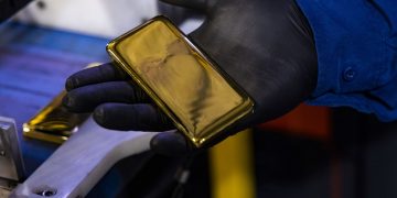 What investors need to know