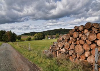 RBC Sees Acquisition Opportunities for West Fraser (WFG) as Wood Products Market Weakens Further