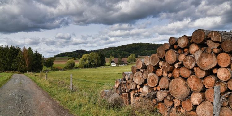 RBC Sees Acquisition Opportunities for West Fraser (WFG) as Wood Products Market Weakens Further