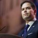 Marco Rubio Reportedly Plans NATO Absence As Zelenskyy’s Top Aide And Lead Russia Negotiator Quits Amid Corruption Probe